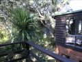 Tree House By The Beach Kioloa