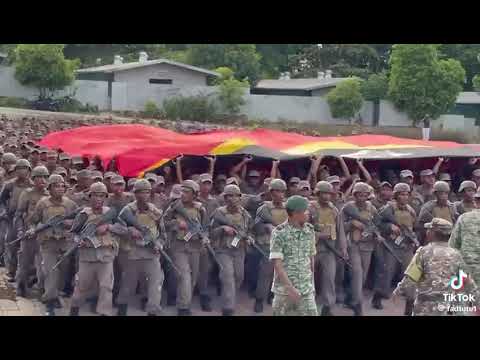 parabenzzz nafatin servi ba Rai Doben Timor-Leste