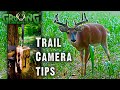 Trail Camera Tips You Can Use NOW! Where and How to Hang Your Cameras (713)