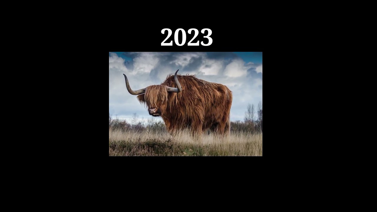 2023 Yak And 6700 Before BC Yak 🦬 (😮😵😵‍💫) #shorts #mythology