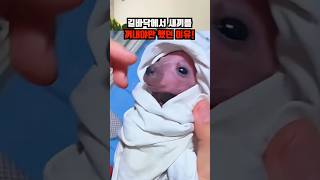 유튜브 썸네일