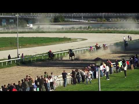 16.10.2022 - Trka IV "MEMORIJAL VLADE BJELOGRLIĆA" Hipodrom Beograd