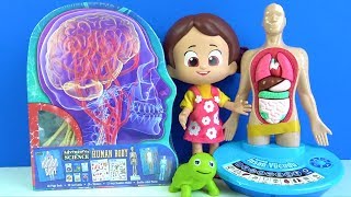 Niloya öğretmen oluyor insan vücudu nasıl çalışır Niloya Mete Tospik ile 5 duyu organımızı öğrenelim