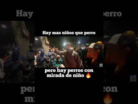 "Hay mas niños que perro, pero hay perros con mirada de niño" Adesong 🔥