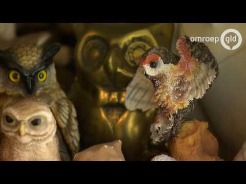 Gelderland Helpt 22 januari 2017