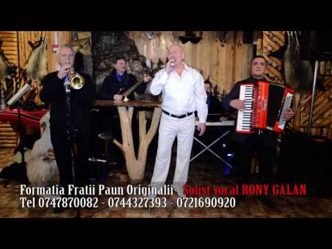 Fratii Paun si RONY GALAN (solist vocal)