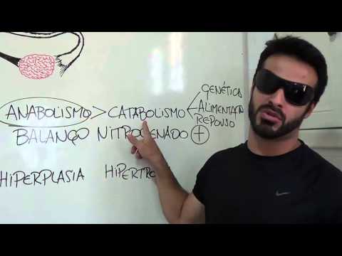 Thumbnail da aula: Anabolismo, Catabolismo, Hiperplasia e Hipertrofia no Crescimento Muscular