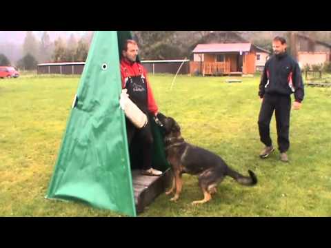 Cid Yucero Bohemia protection