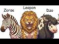 Every Hybrid Animal Explained In 40 Minutes