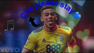 🎵Che Please Stay🎵 - A song for Che Adams