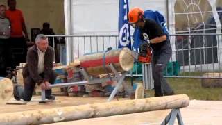 preview picture of video 'West Country Bain de Bretagne 2011 Coupe tronconneuse.flv'