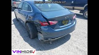 Download the video ""