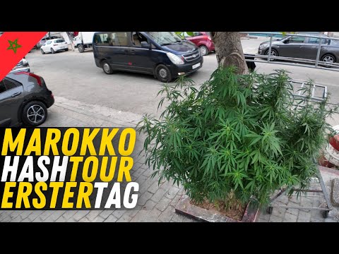 Outdoor Cannabis Buds Close-Up: Trichomes Colors