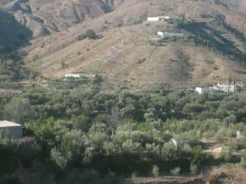 download lagu mp3 mp4 Najat Tazi Ithran Ogena, download lagu Najat Tazi Ithran Ogena gratis, unduh video klip Download Najat Tazi Ithran Ogena Mp3 dan Mp4 Viral Gratis