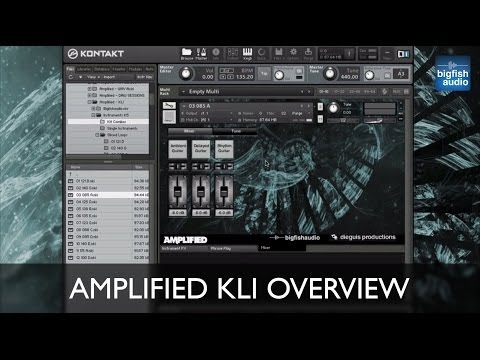 Free Download Amplified MULTiFORMAT-MAGNETRiXX