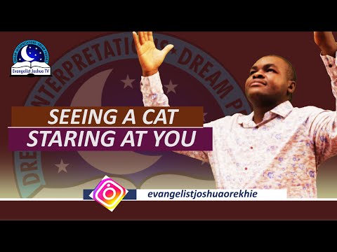 Dream of Seeing a Cat Staring At You Through the Window or on the Bed