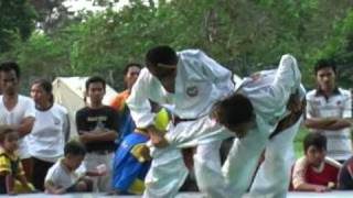 Download lagu Bangau Putih mp3