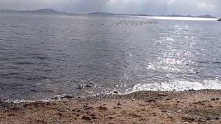 瀬戸内海の冬(道の駅みつ)