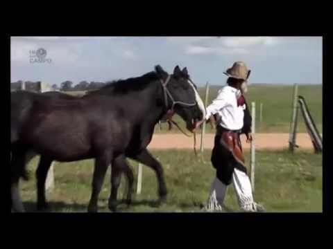 "Hijos del Campo" / historia de los quileros en Cerrillada