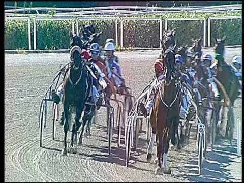 Trotto 22/05/2016 - 4° corsa