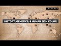 Evo-Ed: History, Genetics, and Human Skin Color