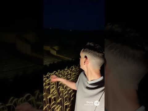 🌀 “Algo apareceu no campo essa noite em Quedas do Iguaçu… e ninguém sabe explicar.”#MistérioNoAr