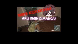 Download lagu COLLAB BARENG MYLYHYA !!! 100% KEBODOHAN PUBG MOBILE mp3