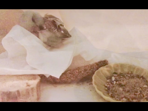 Avian Meds & Recovery Food for Parrotlet Smokey