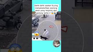 Download lagu Detik-detik seekor Kucing menyelamatkan seorang anak yang terjatuh dari gedung lantai 2 😱🦸 #fyp #cat mp3