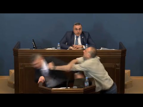 Brawl in Georgia parliament over 'foreign influence' bill | AFP