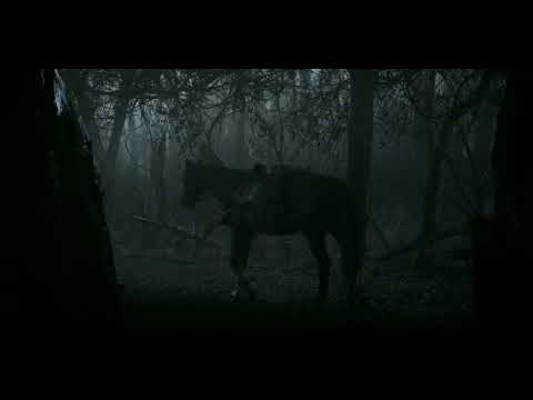 Kikimora VS White Wolf #The Witcher #S1 E1 #Fight Scene...