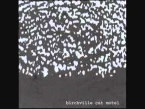 Birchville Cat Motel - Lux.wmv