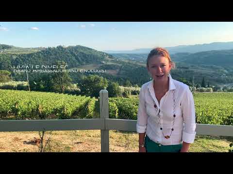 Behind the wines | Frescobaldi Vini - Montesodi