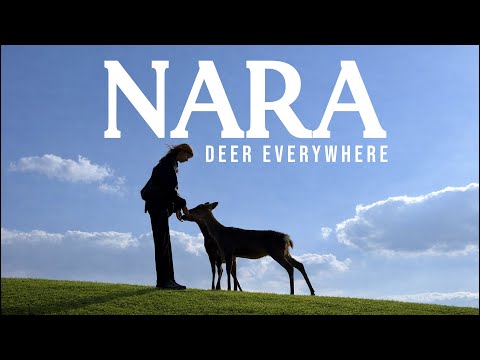 1 Day in Nara — Japan’s Magical Deer Town