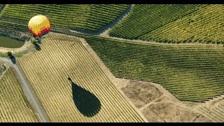 Napa Valley California Wine Country #1