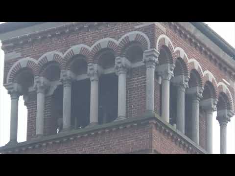 Le campane di Lodi - Chiesa Parrocchiale di San Rocco in Borgo (1)