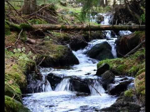 Impressionen der Gemeinde Philippsreut