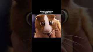AILECE IZLEMEK IÇINILGINÇ BIR FILM
