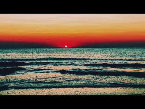 Unstable Son feat. Lily und Wolf - Dystopia (Martin Roth Remix)