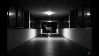 CAM CAMININ SPJAZZACAMIN