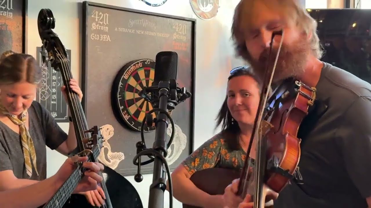 Your Daily Dose of Happy Music - Shady Grove ft The 4 O'clock Band