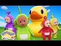 WHERE S THAT DUCK Cheeky Duck SURPRISES The Teletubbies Teletubbies Let S Go NEW Episode