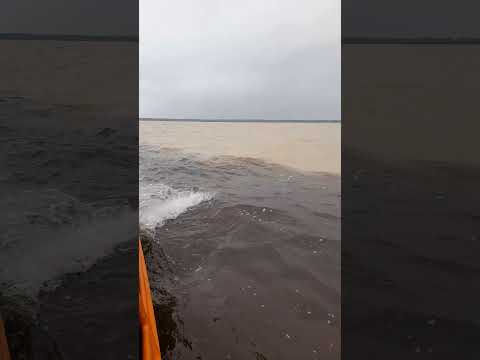 Rio negro e Solimões encontro das águas