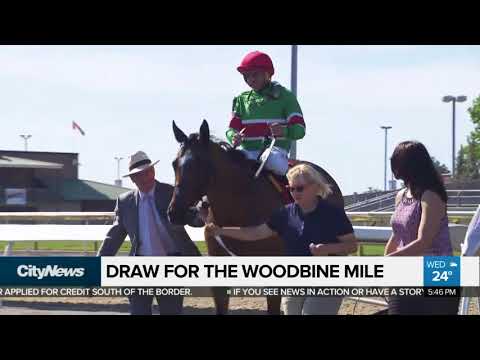 The draw for the Woodbine Mile