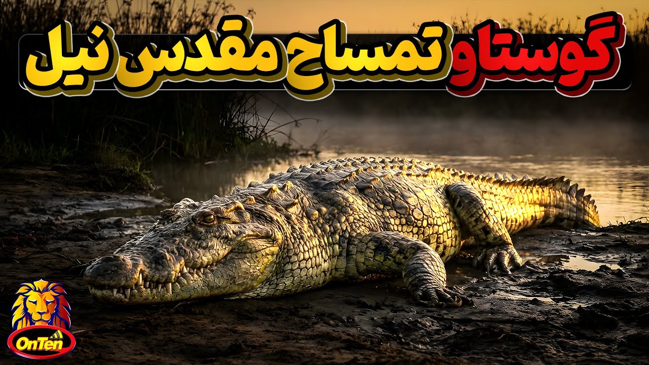 گوستاو، تمساح آدم خواری که 300 انسان را خورد اما اسطوره شد