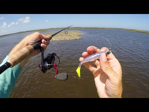 Big Surprise Catch - Exploring New Waters