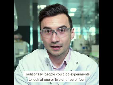 What is functional genomics?