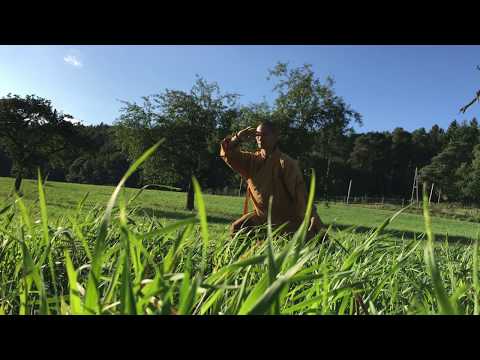 少林禅功柔拳 · Shaolin Chan Gong Rou Quan (Soft Fist)