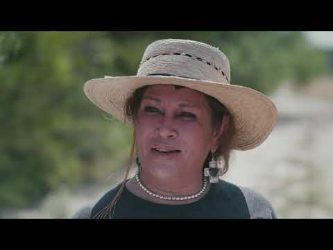 Peyote: The Divine Messenger - Hamilton's Pharmacopeia S02E02