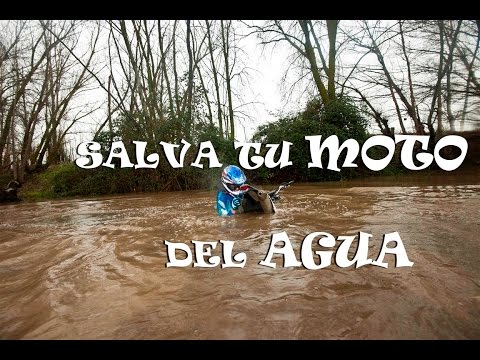 Video de YouTube